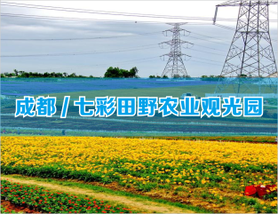 成都/七彩田野农业观光园