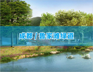 成都/鲁家滩绿道