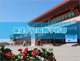 保定/安国数字药都